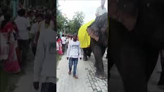 #rathyatra2025 #rangia #rangianews #assam #devotinal #lordkrishna #temple #india #jaijagannath