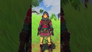 Terrible Armor Choices in Botw
