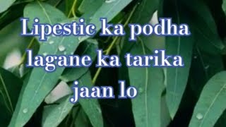Cliptic ke ped ka growth