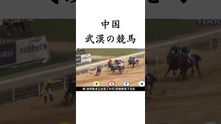 中国 武漢の競馬 #競馬 #shorts