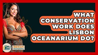 What Conservation Work Does Lisbon Oceanarium Do? - Iberian Wonders