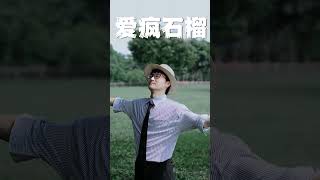 爱疯石榴呵有趣 iPhone16 绿联充电宝 绿联 情绪大片