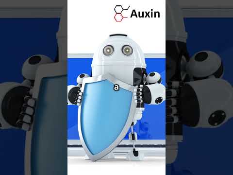 The Role of AI in Detecting Cloud Threats