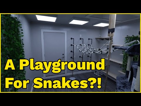 The BEST Snake Room I've Ever Seen | Retic Enrichment