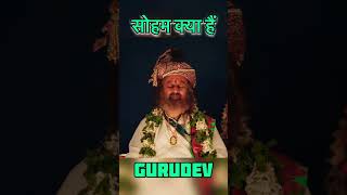 Gurudev Soham keya hai #guruji #gurudev #artofliving #shortsfeed #srisriravishankar