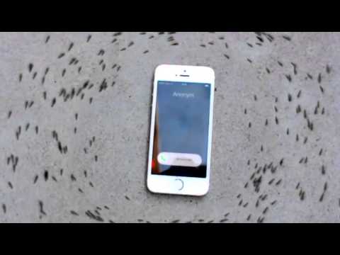 Incredible Video: Electromagnetic Waves