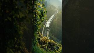 Chongqing TESTBED2 Light Rail Line 2  #chongqing #lizhiba #testbed