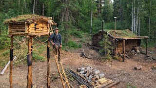 Extreme Alaska Homesteading | Wildfires, Bears & Finishing the Cache | Week 3