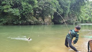 Boy Ngan's worm fishing skills fish with, catch catching carp for sale, daily life