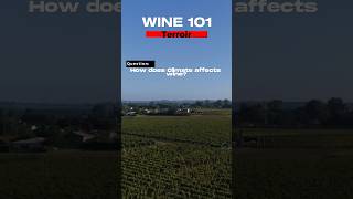 Wine 101: Terrior-How Does Climate affects wine?