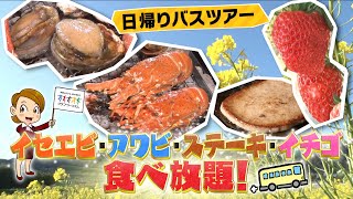 2024年新春の大人気ツアーに密着、旬のグルメ食べ放題にイチゴ狩、房総満喫日帰りツアー