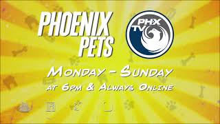 Watch Phoenix Pets on PHXTV!