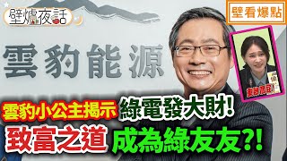 雲豹小公主揭示綠電發大財!致富之道 成為綠友友?｜蔡壁如 柯昱安 吳怡萱【壁爐夜話】壁看爆點💥20230818