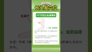 长头发穴位#营养与健康#健康养生#营养#健康知识科普#健康饮食#饮食#养生#食疗养生#中式养生#养生#健康 #药膳 #健康知识科普