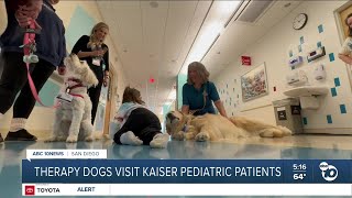 Therapy dogs visit Kaiser pediatric patients