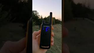 Dunaújvárosból a Kerepesi pmr papagájra? | Motorola T82 Extreme | Hatótáv teszt