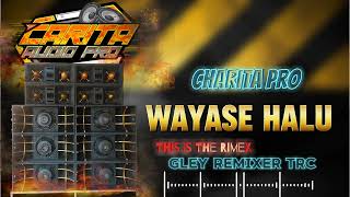 CHARITA PRO_WAYASE HALU GR TRC 2024