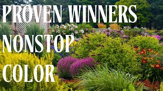 Garden Tour of Nonstop Proven Winner Perennial Colors