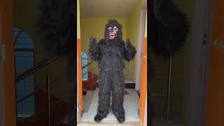 O Susto Kong 🦍😱#Kritikachannel#Shorts funny video#Comady#gorilla#viralvideo