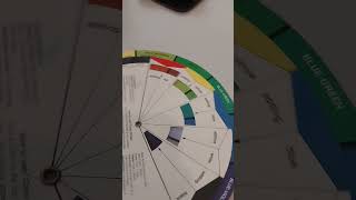 profesional color wheel