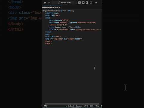 Amazing Border hover effect using html css