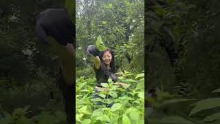 #food #mukbang #sishnukojhangmapalkeraho#funny #ytstudio