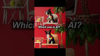AI or REALITY ? This one’s close 🤯 #ai #aivsreality #aidog #veo3