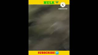Hulk.💚💚 meme #memeking #meme #hulk