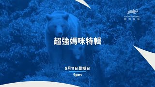 动物星球频道台湾台(Animal Planet Taiwan)《超强妈咪特辑》宣传片