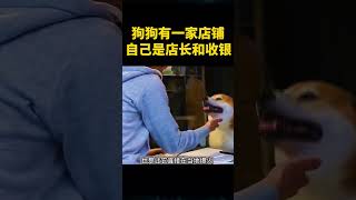 狗狗开了一家店铺，自己就是店长和收银 #shorts #奇闻趣事 #狗狗 #趣事