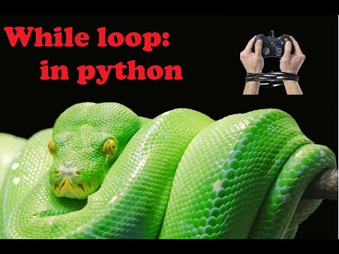 10. While loop made easy : Control Structures in python