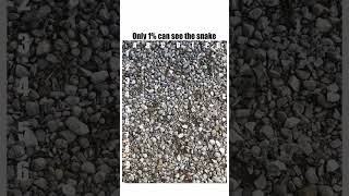 #shortvideo #shortsfeed #intags #challenge #officalvid #funny #memes #unfrezzmyaccount #youtube