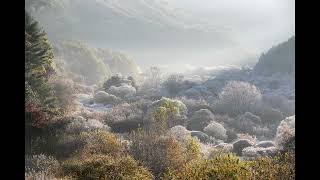 🍁인제 - 비밀의정원🌟