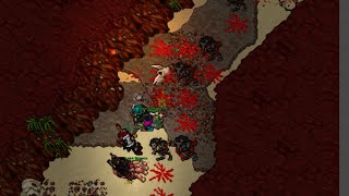 How to KS Like a Clown 🤡 | Tibia's Most Annoying Duo!