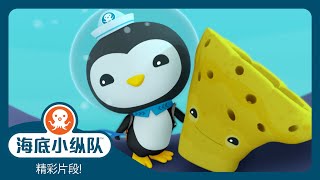 海底小纵队 - 🧽 海绵救援 ⛑️ | 精彩片段! | 集完整版