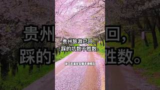 Trip to Guizhou and what to avoid | 贵州旅游已回，踩的坑数不胜数 #guizhou 贵州