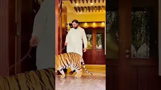 #mian #gangster #mianfamily #lion #miansab #mianfaisal