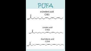 PUFA #shorts #shortsvideo  #short