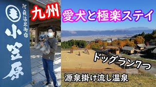 コスパ最高！超おすすめ [ペットとお出かけ][阿蘇][小笠原][九州][旅行][温泉][犬]