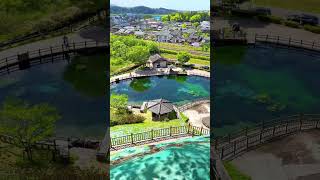 【鹿児島絶景】鹿児島で1番綺麗な湧水スポット#shorts