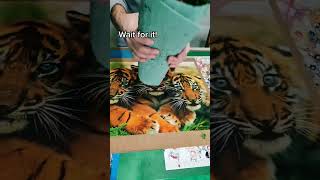 OVER 1.3 MILLION VIEWS on Tik Tok | Jigsaw Puzzle Smashing