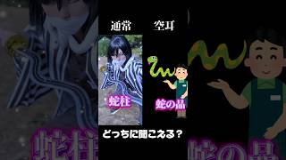 鬼滅の刃×コスプレ　空耳パート2！どっちに聞こえる？#鬼滅の刃 #コスプレ #空耳 #比較動画 #cosplay #柱  #demonslayer #kimetsunoyaiba #鬼滅の刃無限城編