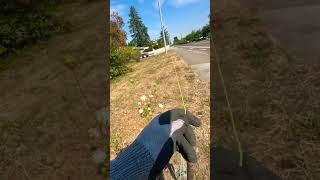 How To Layout A Fence Line Accurately ✅ #fence #construction #layout