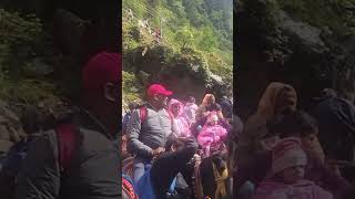 shot vairla#yt shot jamlagi rako xa gaij#travelblog #travelvlog
