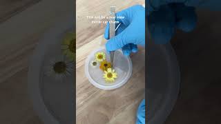 #poxy_princess #epoxy #resin #resinart #resinartist #epoxyresin #epoxylife #resincrafts #diy #flower