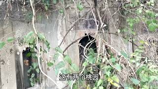 立桅杆的古墓群！#探墓 #文化