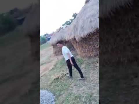 Live Village cricket