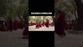 色拉寺辩经之对辩和立宗辩#热门