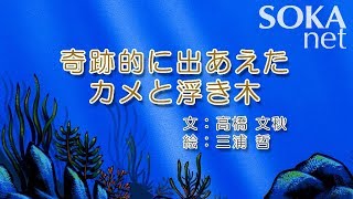 【仏教ものがたり】奇跡的に出あえたカメと浮き木 | 創価学会公式
