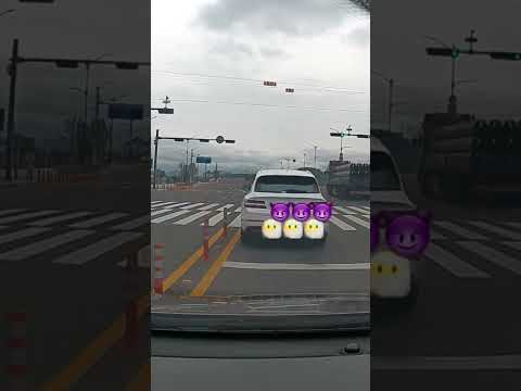 여지 없이 신호위반